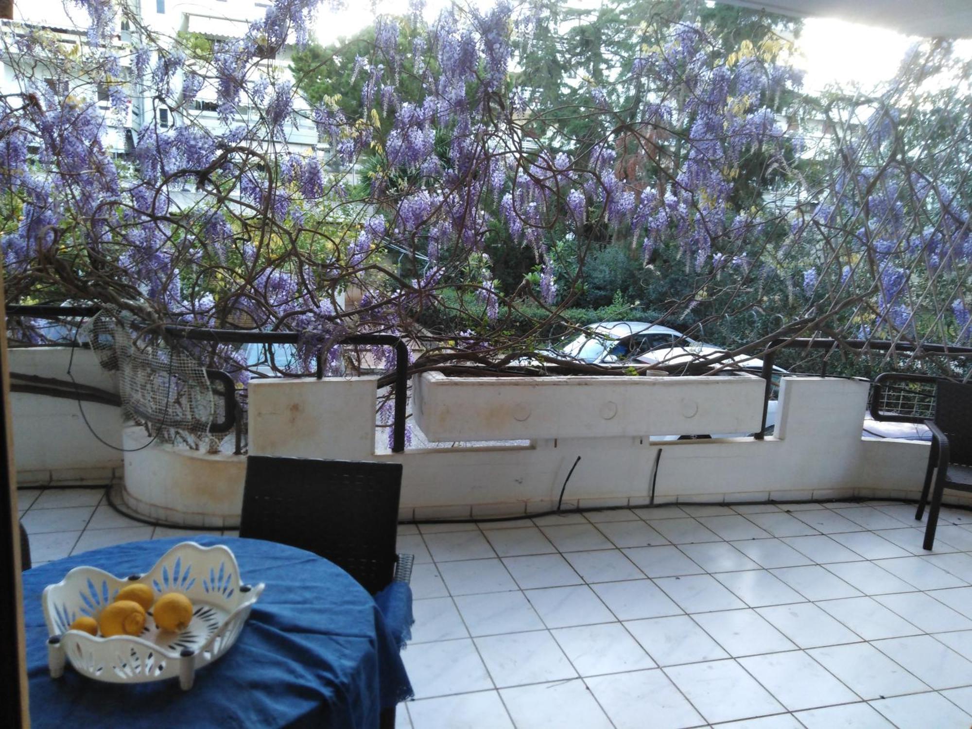 Filyra Homestay Athen Rom bilde